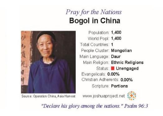 Bogol card