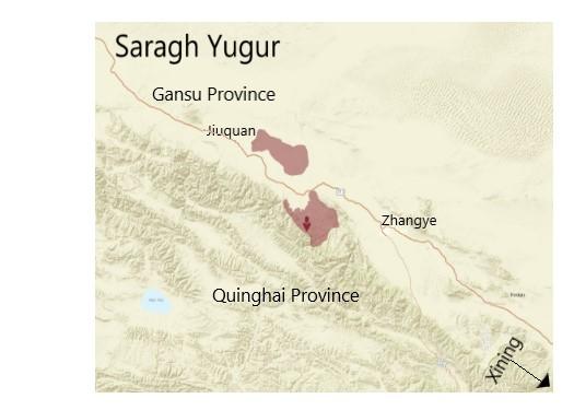 Saragh map